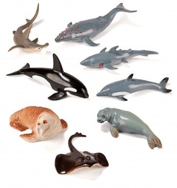 Les animaux marins