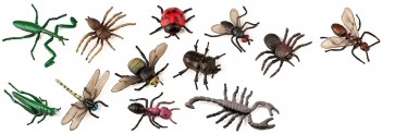 les insectes