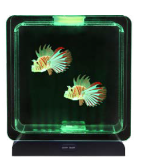 aquarium poissons