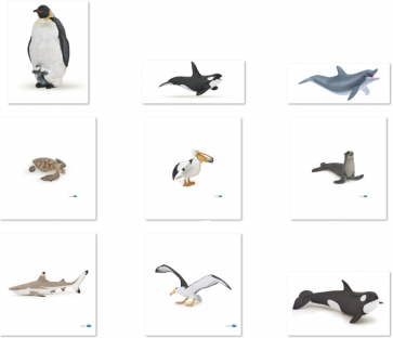 Les animaux marins - Assortiment de 9 figurines