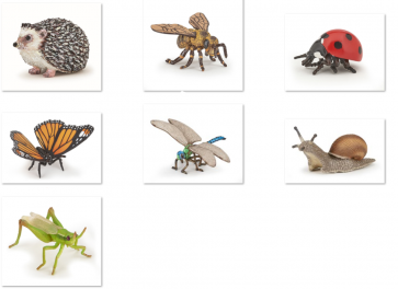 Composition du lot variable selon les collections - photo non contractuelle