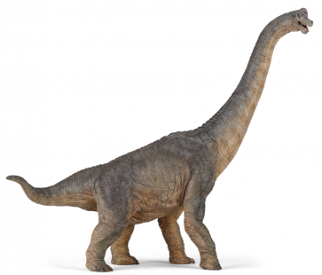 Le dinosaures : Figurine Brachiosaure 