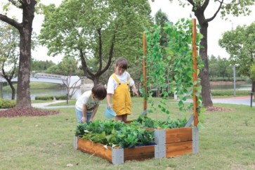 Potager surélevé à plusieurs niveaux avec treillis