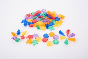 Coquillages  à manipuler