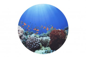 Tapis de jeu pour table découverte sensorielle "fonds marins"