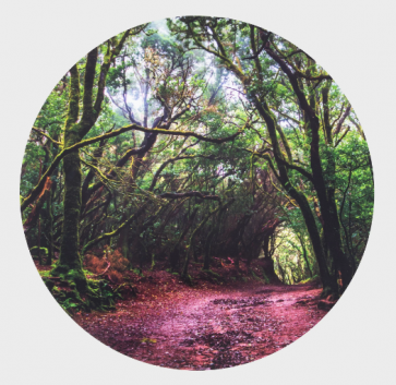 Tapis de jeu pour table découverte sensorielle "forêt"