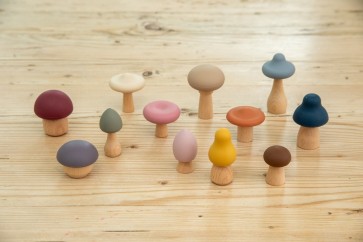 Les champignons de la forêt