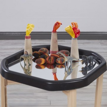 Plateau d'activités avec miroir