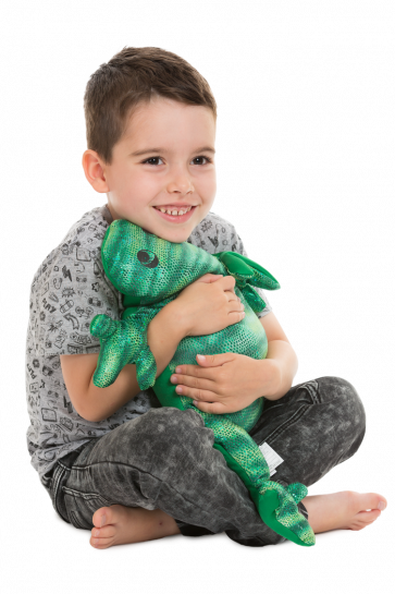 Animal lesté lézard