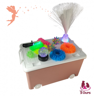 Malle sensorielle S 11 accessoires pédagogiques