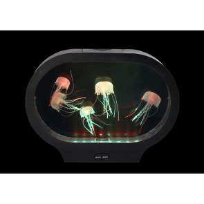 Aquarium ovale à méduses