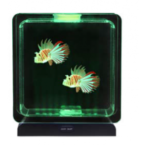 aquarium poissons