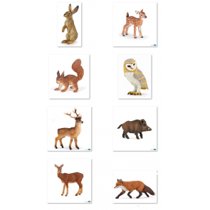 Les animaux de la forêt - Assortiment de 8 figurines