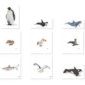 Les animaux marins - Assortiment de 9 figurines