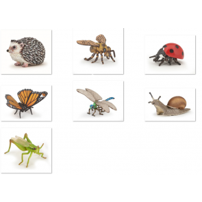 Les animaux du jardin - Assortiment de 7 figurines