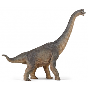 Le dinosaures : Figurine Brachiosaure 