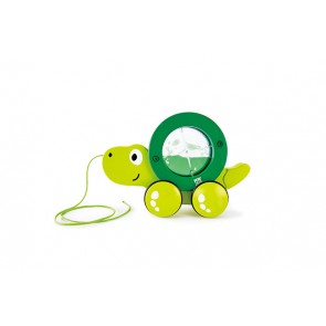 Tortue Tito 