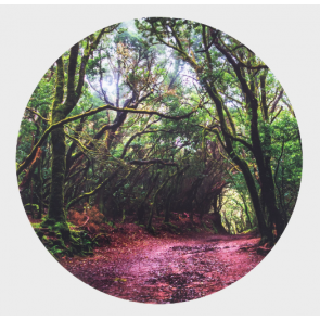 Tapis de jeu pour table découverte sensorielle "forêt"