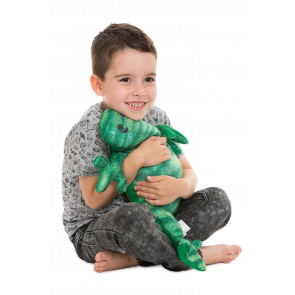 Animal lesté lézard