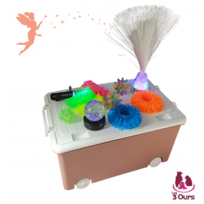 Malle sensorielle S 11 accessoires pédagogiques