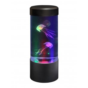 Mini aquarium aux méduses