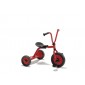 Tricycle 2-4 ans